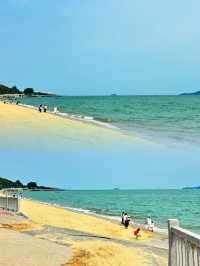 一到廈門就飛奔這裡!美絕了!!