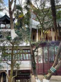 CityWalk新發現｜姑蘇區竟藏著寶藏綠光森林