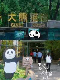 在動物園逛文創店 | 北京動物園 熊貓館商店