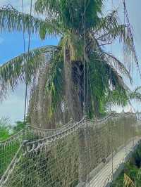Oxygenating Forest Trekking Adventure in Nigeria