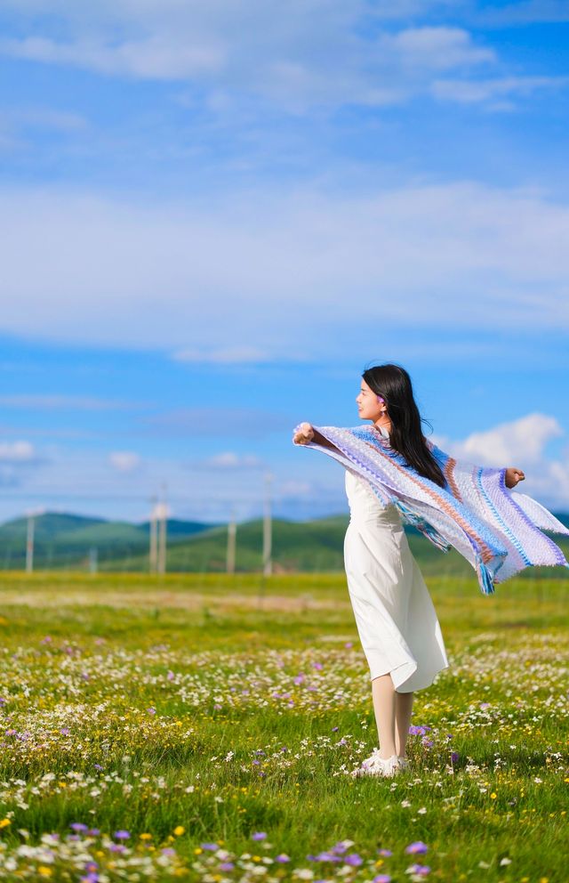 高性價比打卡絕美雪山花海·川西自駕俄么塘
