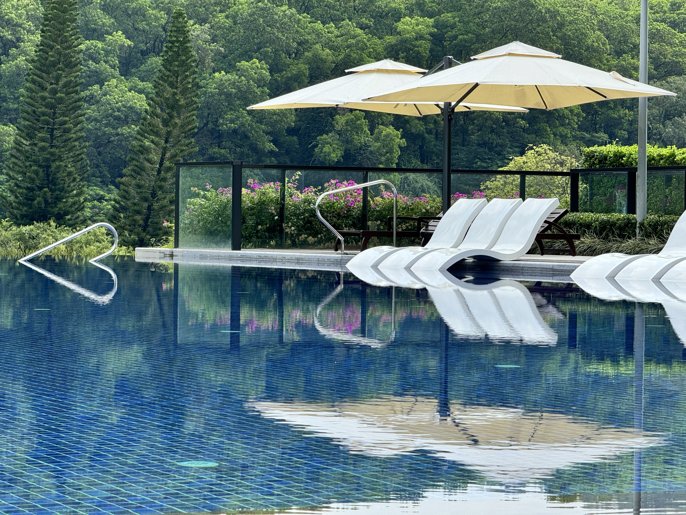 有“南國釣魚台”之稱的國賓館｜Trip.com 廣州