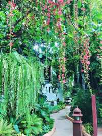 🌟 Charming Oasis in Chiang Mai's Heart 🌿✨