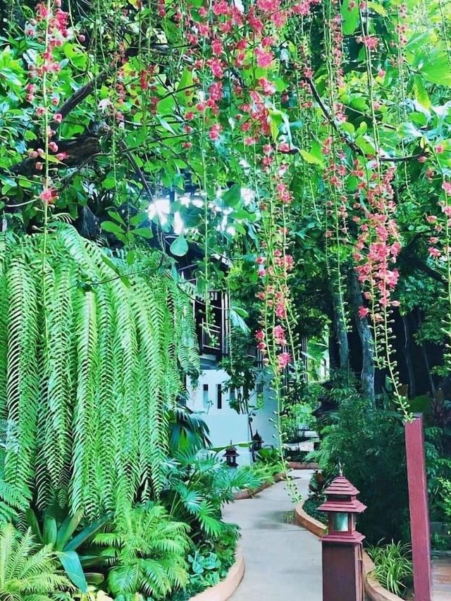 🌟 Charming Oasis in Chiang Mai's Heart 🌿✨