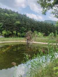 株洲周邊遊 | 株洲攸縣酒仙湖遊玩攻略