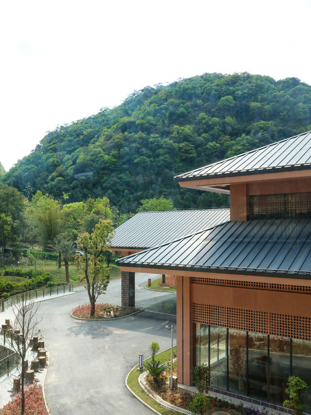 以為在安吉，其實在百色的度假酒店