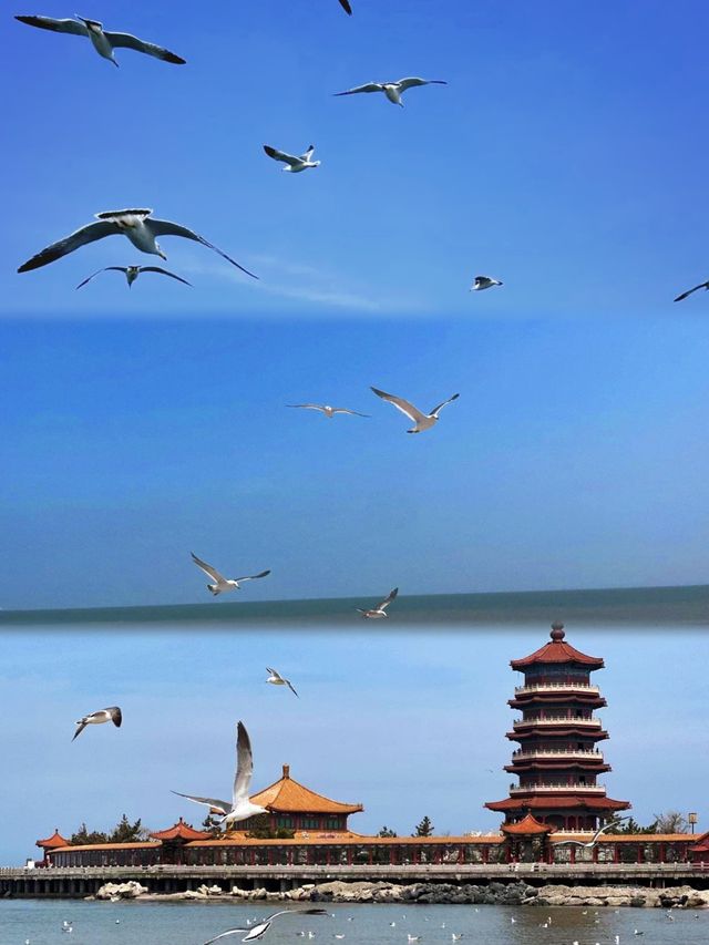 蓬萊長島