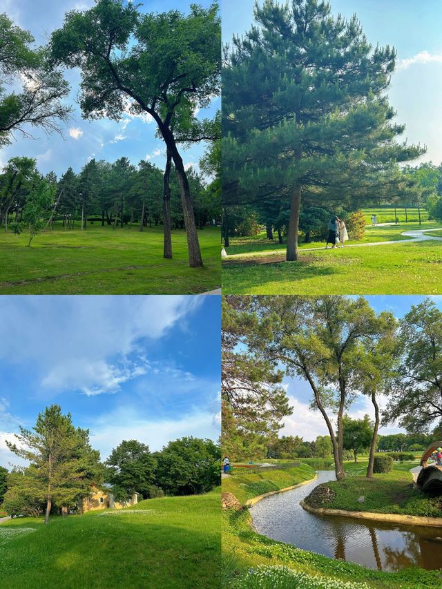 太陽島｜哈爾濱的莫奈花園