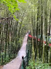 河南欒川重渡溝
