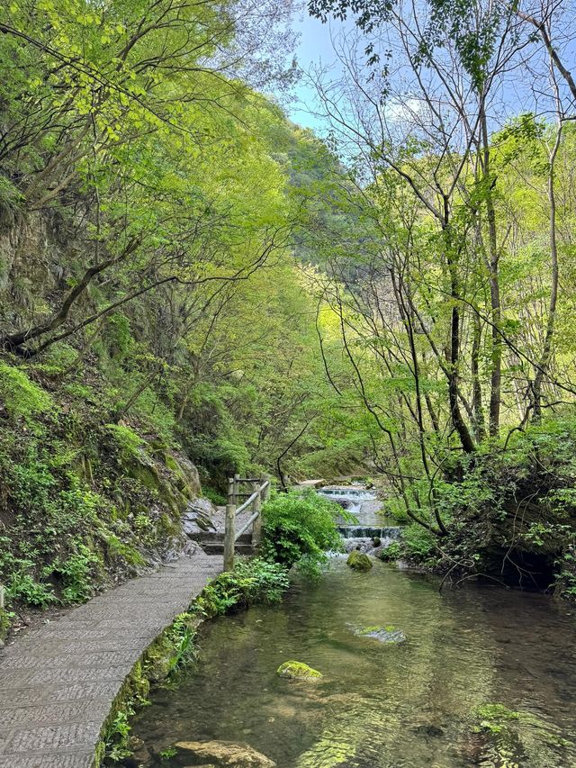 河南欒川重渡溝
