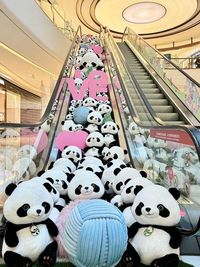 可惜你不是成都人～這麼多不能擁有