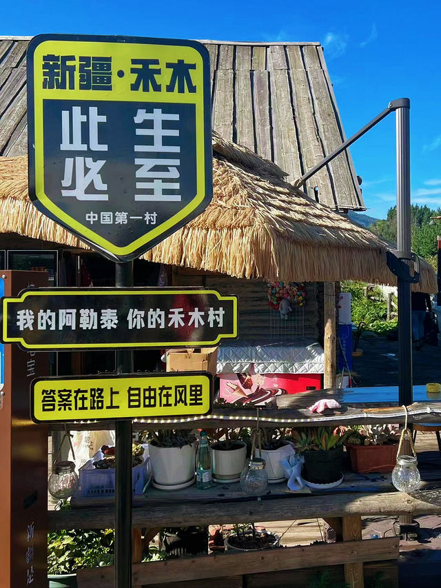 【禾木村的守護者】在雲端俯瞰人間仙境