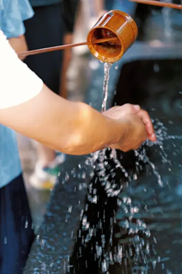 廈門南普陀寺超全攻略 速速收藏