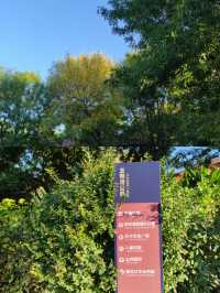 中國孫子文化園體驗感拉滿！東營廣饒·孫子文化園