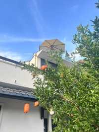 上海和睦村