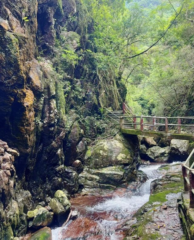 福州永泰一日遊丨見山雲瀑布真真天然氧吧