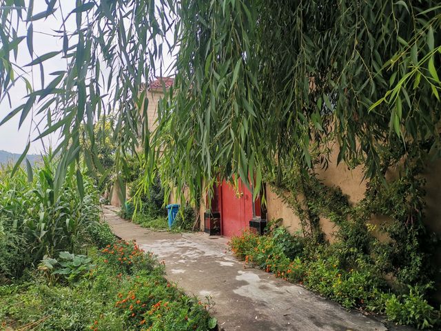 鄉村大觀園∽∽魅力折橋灣