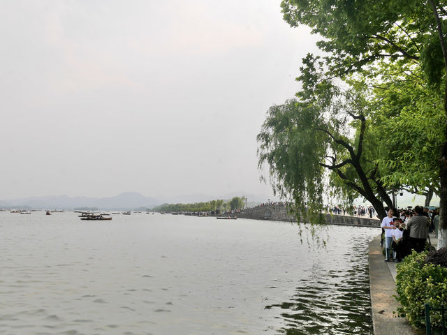 週末去哪兒028｜西湖的夏日晚風