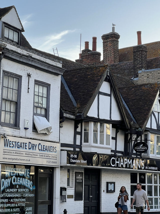 Canterbury is a small town in UK 🇬🇧 check out the nature 🩷
