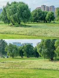 西安16個露營公園踩點!心中排前3的是...。