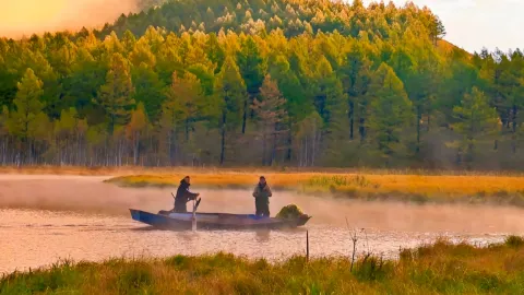 Don't miss the autumn in Daxinganling. It's probably the autumn you see in textbooks. — traveler post in Huma