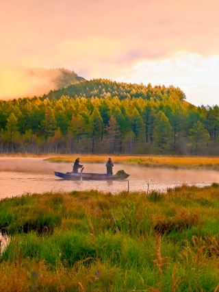 Don't miss the autumn in Daxinganling. It's probably the autumn you see in textbooks.