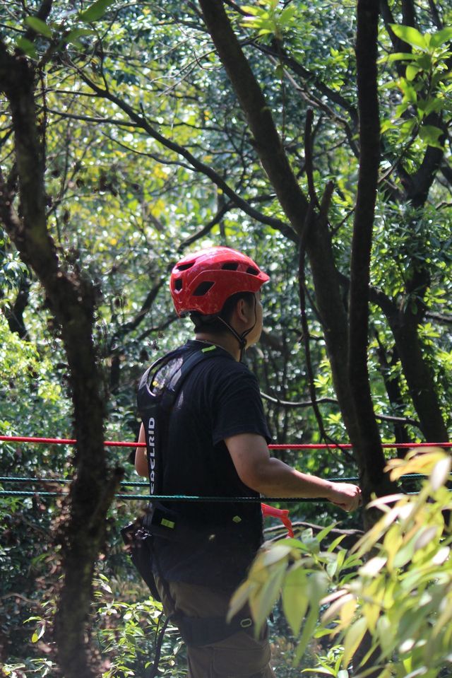 大雁山飛越叢林你還不知道嗎。