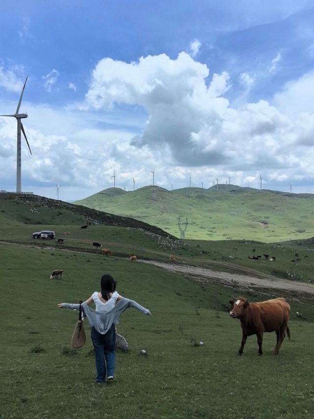 貴州版「阿勒泰」百草坪country walk。