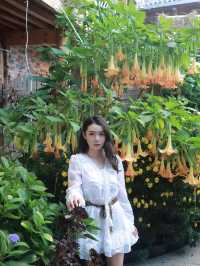 在束河古鎮住進了莫奈花園·好愛麗絲仙境哇。