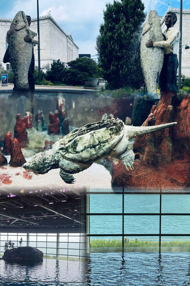 芝加哥·謝德水族館｜親子科普海洋動物絕佳地。