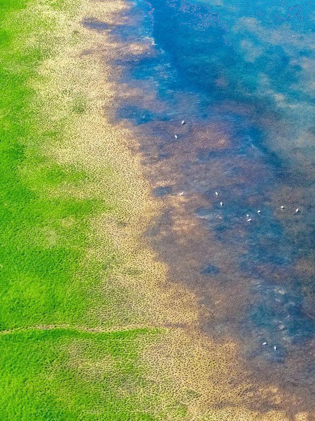 江西永修南昌後花園的草海秘境。