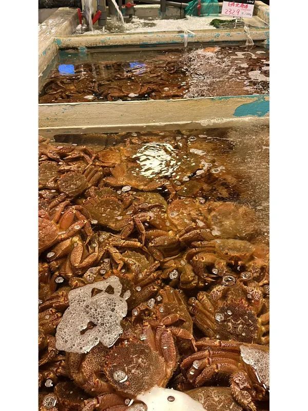 台北魚市場的夜晚魅力 🌙🦐