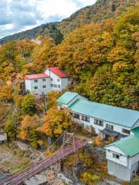 比京都小眾！走進札幌動漫裡的秋天。