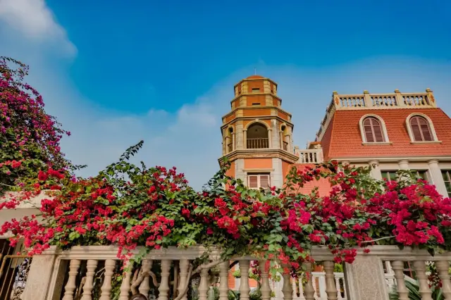 Xiamen Travel Guide | A hidden gem with an average cost of CNY 800 per person. 