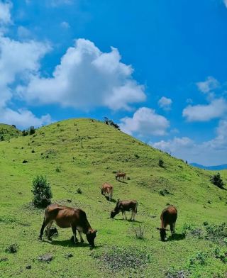 Guangxi is indeed low-key, with such beautiful scenery that is not well-known. 