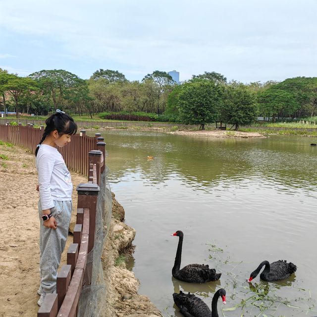 順德人的後花園。