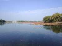 秋天裡的南海子公園。