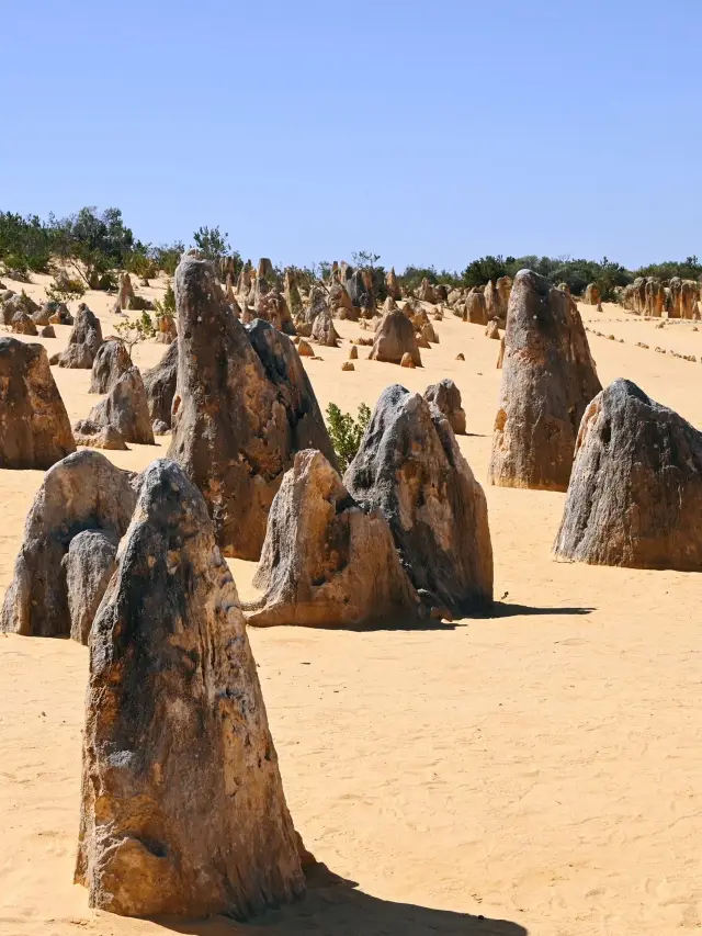 9-Day Australia Itinerary: A Detailed Guide to Save!