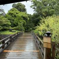 🌸 名古屋德川園：靜謐之美的歷史庭園 🏯🌿