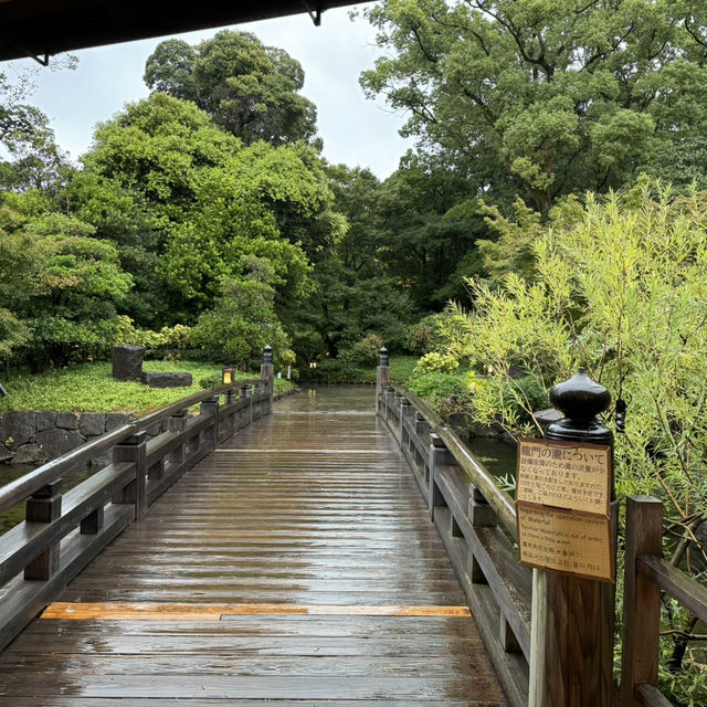 🌸 名古屋德川園：靜謐之美的歷史庭園 🏯🌿