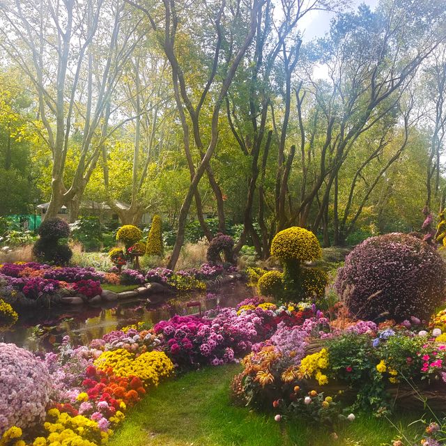 上海共青森林公園秋日攻略。