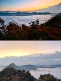 商洛鎮安海棠山。