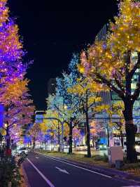 Planning to Spend Christmas in Tokyo, Japan?