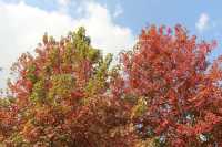 生活處處有驚喜~~廊下郊野公園。