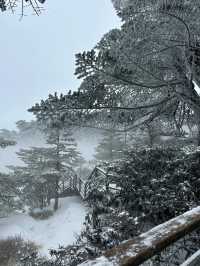 「滇中第一山」雲南的雪鄉！冰雪的仙境。