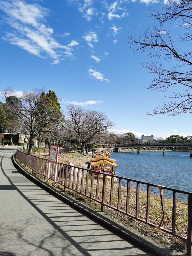 漫步歷史庭園，感受古韻與自然之美。