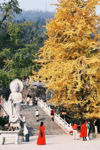 衡陽鄉村旅遊千年古剎銀杏之約一期一會