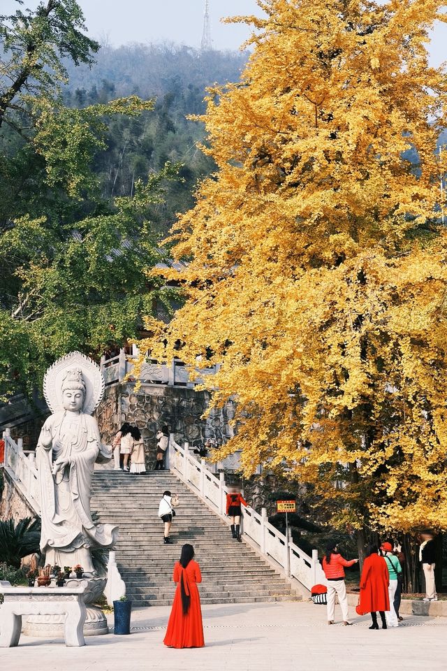 衡陽鄉村旅遊千年古剎銀杏之約一期一會