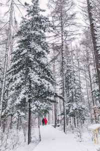 冬季到長白山展開冰雪夢幻之旅