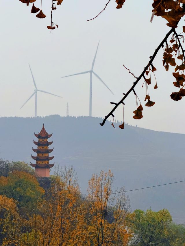 臨沂費縣叢柏庵，山寺清幽，來者皆誠！